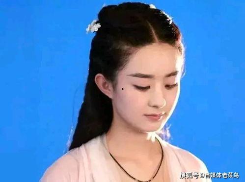 娱乐圈吃瓜白鹿是谁呀